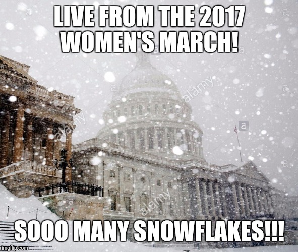 2017 women's march  | LIVE FROM THE 2017 WOMEN'S MARCH! SOOO MANY SNOWFLAKES!!! | image tagged in snowflakes,trump | made w/ Imgflip meme maker