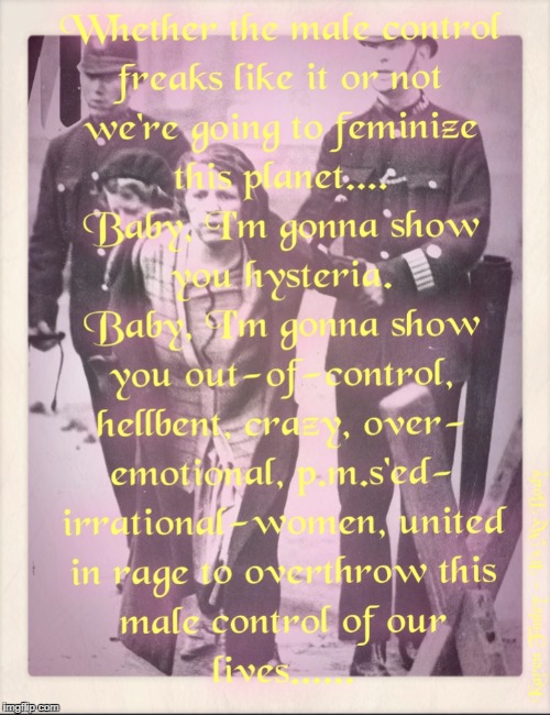 Women's march on Washington 
1/21/2017 | image tagged in womensmarchonwashington,suffragette,karenfinley,donaldtrumpisnotmypresident,controlfreaks | made w/ Imgflip meme maker