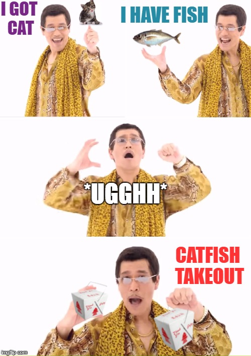 PPAP | I GOT CAT; I HAVE FISH; *UGGHH*; CATFISH TAKEOUT | image tagged in memes,ppap | made w/ Imgflip meme maker