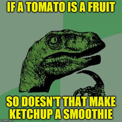 Philosoraptor | IF A TOMATO IS A FRUIT; SO DOESN'T THAT MAKE KETCHUP A SMOOTHIE | image tagged in memes,philosoraptor | made w/ Imgflip meme maker