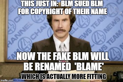 Bureau of Land Management fights back | THIS JUST IN:  BLM SUED BLM FOR COPYRIGHT OF THEIR NAME; NOW THE FAKE BLM WILL BE RENAMED  'BLAME'; WHICH IS ACTUALLY MORE FITTING | image tagged in memes,ron burgundy | made w/ Imgflip meme maker