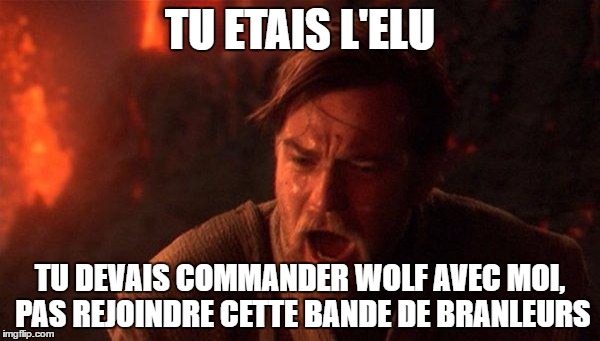 You Were The Chosen One (Star Wars) Meme | TU ETAIS L'ELU; TU DEVAIS COMMANDER WOLF AVEC MOI, PAS REJOINDRE CETTE BANDE DE BRANLEURS | image tagged in memes,you were the chosen one star wars | made w/ Imgflip meme maker
