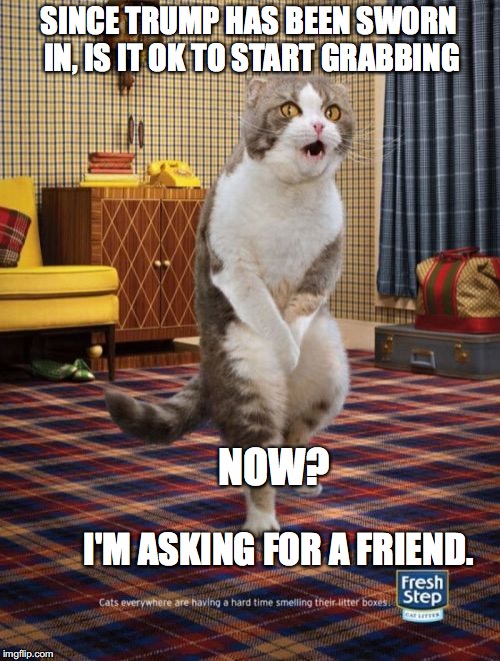 Gotta Go Cat | SINCE TRUMP HAS BEEN SWORN IN, IS IT OK TO START GRABBING; NOW? I'M ASKING FOR A FRIEND. | image tagged in memes,gotta go cat | made w/ Imgflip meme maker