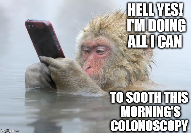 monkey mobile phone |  HELL YES! I'M DOING ALL I CAN; TO SOOTH THIS MORNING'S COLONOSCOPY | image tagged in monkey mobile phone | made w/ Imgflip meme maker