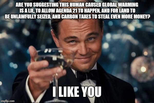 Leonardo Dicaprio Cheers Meme | ARE YOU SUGGESTING THIS HUMAN CAUSED GLOBAL WARMING IS A LIE, TO ALLOW AGENDA 21 TO HAPPEN, AND FOR LAND TO BE UNLAWFULLY SEIZED, AND CARBON | image tagged in memes,leonardo dicaprio cheers | made w/ Imgflip meme maker