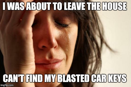 How about inventing a thumbprint-activated car (ignition included)? | I WAS ABOUT TO LEAVE THE HOUSE; CAN'T FIND MY BLASTED CAR KEYS | image tagged in memes,first world problems | made w/ Imgflip meme maker