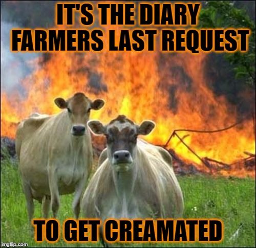 Evil Cows | IT'S THE DIARY FARMERS LAST REQUEST; TO GET CREAMATED | image tagged in memes,evil cows | made w/ Imgflip meme maker