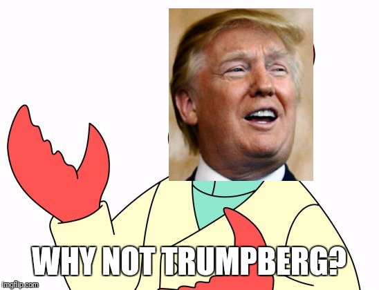 WHY NOT TRUMPBERG? | made w/ Imgflip meme maker