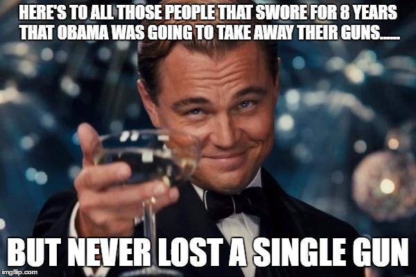 Leonardo Dicaprio Cheers | HERE'S TO ALL THOSE PEOPLE THAT SWORE FOR 8 YEARS THAT OBAMA WAS GOING TO TAKE AWAY THEIR GUNS...... BUT NEVER LOST A SINGLE GUN | image tagged in memes,leonardo dicaprio cheers | made w/ Imgflip meme maker