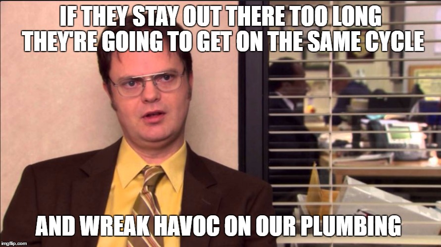 My thoughts on today's marches | IF THEY STAY OUT THERE TOO LONG THEY'RE GOING TO GET ON THE SAME CYCLE; AND WREAK HAVOC ON OUR PLUMBING | image tagged in office,dwight,women's march,trump,donald trump | made w/ Imgflip meme maker