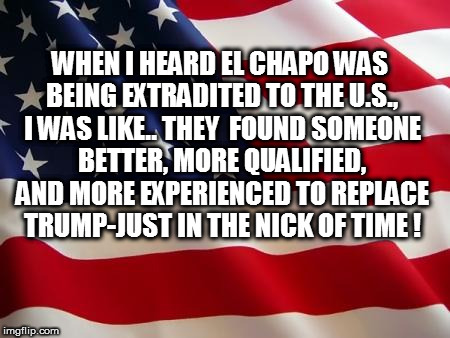 American flag | WHEN I HEARD EL CHAPO WAS BEING EXTRADITED TO THE U.S., I WAS LIKE.. THEY  FOUND SOMEONE BETTER, MORE QUALIFIED, AND MORE EXPERIENCED TO REPLACE TRUMP-JUST IN THE NICK OF TIME ! | image tagged in american flag,el chapo,chapo guzman,chapo,fucktrump,donald trump the clown | made w/ Imgflip meme maker