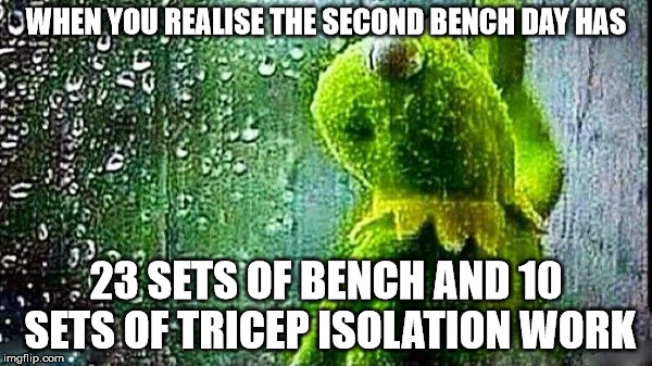 WHEN YOU REALISE THE SECOND BENCH DAY HAS; 23 SETS OF BENCH AND 10 SETS OF TRICEP ISOLATION WORK | made w/ Imgflip meme maker