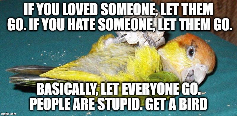 IF YOU LOVED SOMEONE, LET THEM GO.
IF YOU HATE SOMEONE, LET THEM GO. BASICALLY, LET EVERYONE GO. PEOPLE ARE STUPID. GET A BIRD | image tagged in just get a bird | made w/ Imgflip meme maker