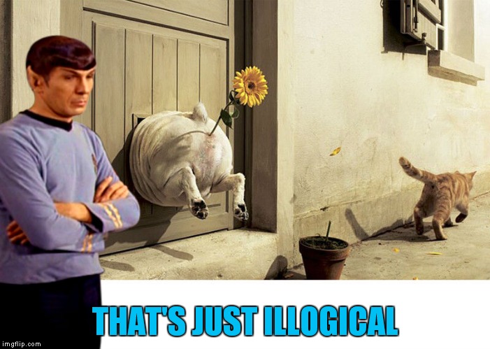 THAT'S JUST ILLOGICAL | made w/ Imgflip meme maker