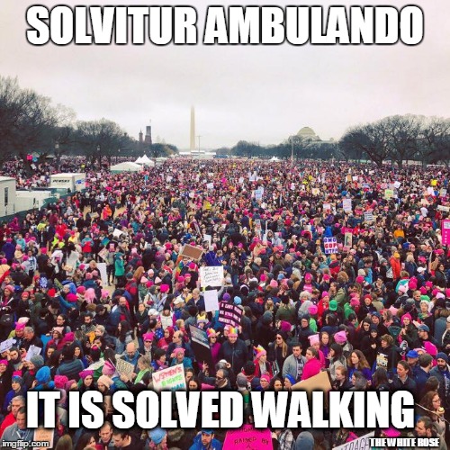 The March | SOLVITUR AMBULANDO; IT IS SOLVED WALKING; THE WHITE ROSE | image tagged in walking | made w/ Imgflip meme maker