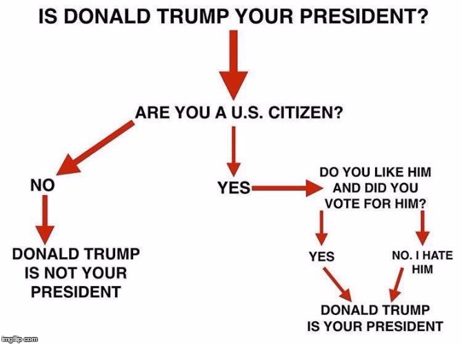 Is He Your President? | image tagged in donald trump,memes | made w/ Imgflip meme maker
