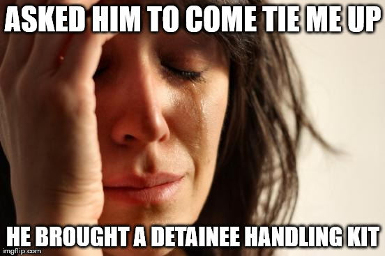 First World Problems Meme |  ASKED HIM TO COME TIE ME UP; HE BROUGHT A DETAINEE HANDLING KIT | image tagged in memes,first world problems | made w/ Imgflip meme maker