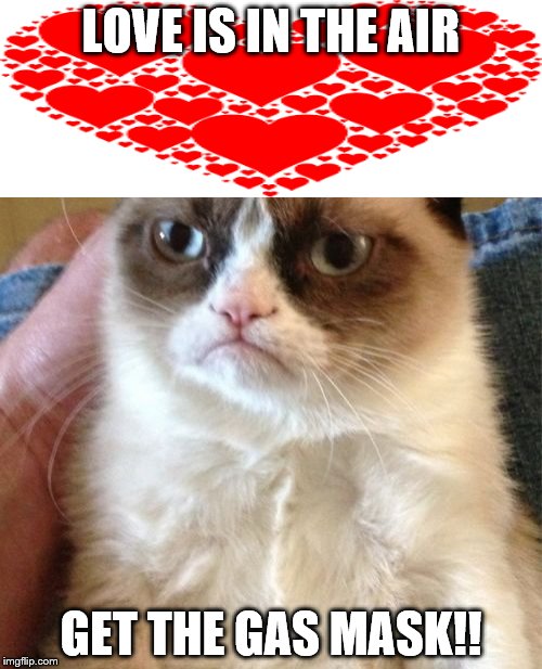 Grumpy Cat | LOVE IS IN THE AIR; GET THE GAS MASK!! | image tagged in memes,grumpy cat | made w/ Imgflip meme maker