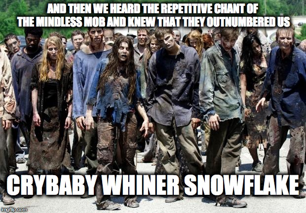 Walking dead meme | AND THEN WE HEARD THE REPETITIVE CHANT OF THE MINDLESS MOB AND KNEW THAT THEY OUTNUMBERED US; CRYBABY WHINER SNOWFLAKE | image tagged in walking dead meme | made w/ Imgflip meme maker