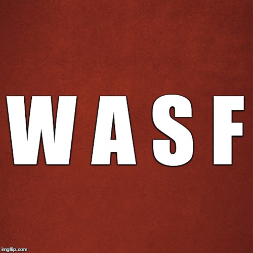 Blank Red Background | W A S F | image tagged in wasf,resist,trump | made w/ Imgflip meme maker