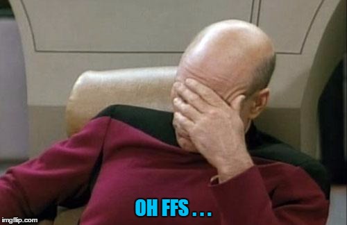 Captain Picard Facepalm Meme | OH FFS . . . | image tagged in memes,captain picard facepalm | made w/ Imgflip meme maker