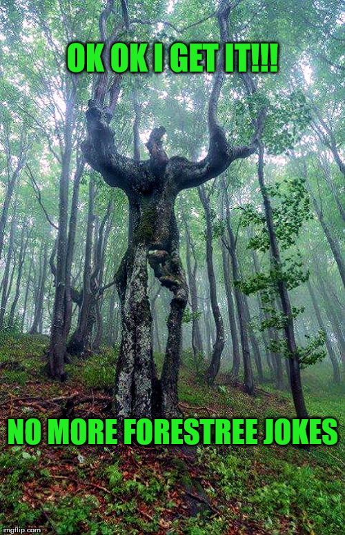 Forests Revenge | OK OK I GET IT!!! NO MORE FORESTREE JOKES | image tagged in tree man,forest,revenge | made w/ Imgflip meme maker