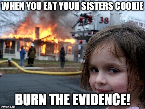 Disaster Girl | WHEN YOU EAT YOUR SISTERS COOKIE; BURN THE EVIDENCE! | image tagged in memes,disaster girl | made w/ Imgflip meme maker