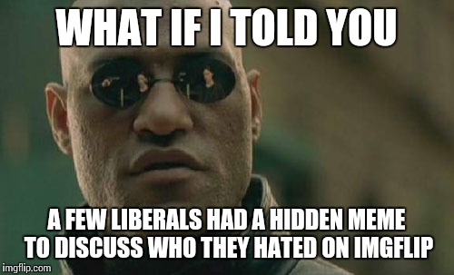 Matrix Morpheus Meme | WHAT IF I TOLD YOU; A FEW LIBERALS HAD A HIDDEN MEME TO DISCUSS WHO THEY HATED ON IMGFLIP | image tagged in memes,matrix morpheus | made w/ Imgflip meme maker