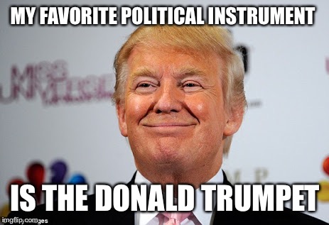 Donald trump approves | MY FAVORITE POLITICAL INSTRUMENT; IS THE DONALD TRUMPET | image tagged in donald trump approves | made w/ Imgflip meme maker