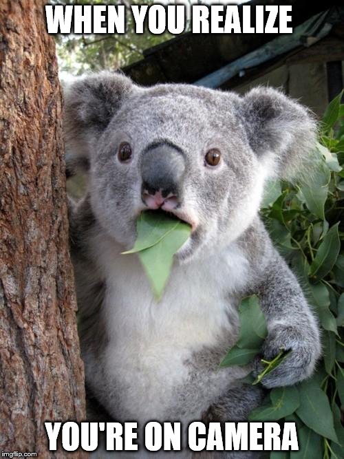 Surprised Koala | WHEN YOU REALIZE; YOU'RE ON CAMERA | image tagged in memes,surprised koala | made w/ Imgflip meme maker