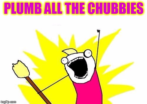 X All The Y Meme | PLUMB ALL THE CHUBBIES | image tagged in memes,x all the y | made w/ Imgflip meme maker