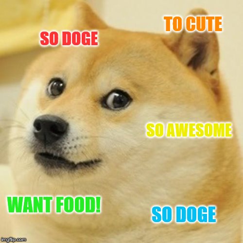 Doge | TO CUTE; SO DOGE; SO AWESOME; WANT FOOD! SO DOGE | image tagged in memes,doge | made w/ Imgflip meme maker