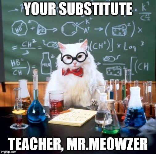 Chemistry Cat Meme | YOUR SUBSTITUTE; TEACHER, MR.MEOWZER | image tagged in memes,chemistry cat | made w/ Imgflip meme maker