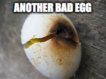 ANOTHER BAD EGG | made w/ Imgflip meme maker