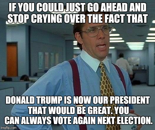 Please stop having a fit that Donald Trump is president. I don't like that he won either but you don't see me having a melt down | IF YOU COULD JUST GO AHEAD AND STOP CRYING OVER THE FACT THAT; DONALD TRUMP IS NOW OUR PRESIDENT THAT WOULD BE GREAT. YOU CAN ALWAYS VOTE AGAIN NEXT ELECTION. | image tagged in memes,that would be great,donald trump,womens march | made w/ Imgflip meme maker