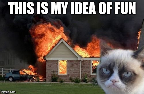 Burn Kitty | THIS IS MY IDEA OF FUN | image tagged in memes,burn kitty,grumpy cat | made w/ Imgflip meme maker