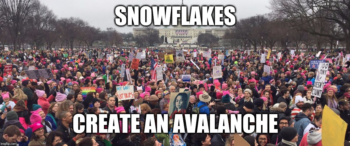 Snowflakes | SNOWFLAKES; CREATE AN AVALANCHE | image tagged in women's march,trump,snowflakes | made w/ Imgflip meme maker