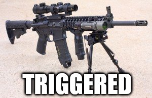 Offended Rifle | TRIGGERED | image tagged in triggered,gun control,gun laws,guns | made w/ Imgflip meme maker