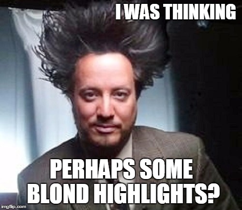 I WAS THINKING PERHAPS SOME BLOND HIGHLIGHTS? | made w/ Imgflip meme maker