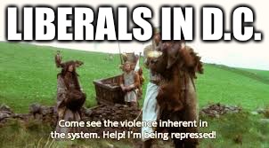 Repressed | LIBERALS IN D.C. | image tagged in liberals,rioters,trump,inauguration | made w/ Imgflip meme maker