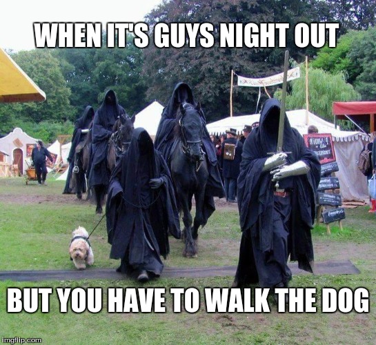 WHEN IT'S GUYS NIGHT OUT; BUT YOU HAVE TO WALK THE DOG | image tagged in honey,dog | made w/ Imgflip meme maker