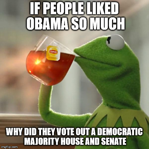 But That's None Of My Business Meme | IF PEOPLE LIKED OBAMA SO MUCH WHY DID THEY VOTE OUT A DEMOCRATIC MAJORITY HOUSE AND SENATE | image tagged in memes,but thats none of my business,kermit the frog | made w/ Imgflip meme maker