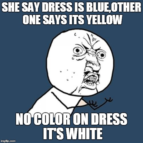 Y U No Meme | SHE SAY DRESS IS BLUE,OTHER ONE SAYS ITS YELLOW; NO COLOR ON DRESS IT'S WHITE | image tagged in memes,y u no | made w/ Imgflip meme maker