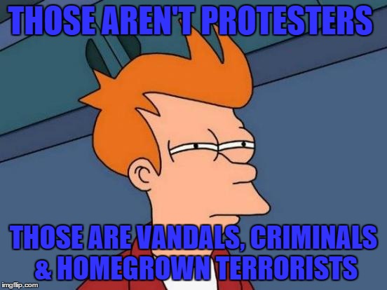 Futurama Fry Meme | THOSE AREN'T PROTESTERS; THOSE ARE VANDALS, CRIMINALS & HOMEGROWN TERRORISTS | image tagged in memes,futurama fry | made w/ Imgflip meme maker