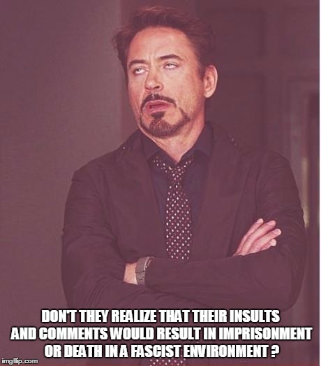Face You Make Robert Downey Jr Meme | DON'T THEY REALIZE THAT THEIR INSULTS AND COMMENTS WOULD RESULT IN IMPRISONMENT OR DEATH IN A FASCIST ENVIRONMENT ? | image tagged in memes,face you make robert downey jr | made w/ Imgflip meme maker