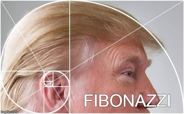 The 'Golden Boy'
 | FIBONAZZI | image tagged in meme,trump,fibonacci,nazi,nichtmeinfuhrer,funny meme | made w/ Imgflip meme maker