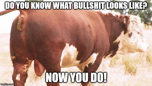 DO YOU KNOW WHAT BULLSHIT LOOKS LIKE? NOW YOU DO! | image tagged in bullshit | made w/ Imgflip meme maker