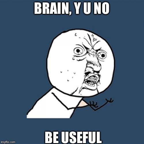 Y U No Meme | BRAIN, Y U NO; BE USEFUL | image tagged in memes,y u no | made w/ Imgflip meme maker