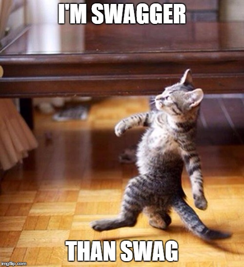 Swag cat | I'M SWAGGER; THAN SWAG | image tagged in swag cat | made w/ Imgflip meme maker
