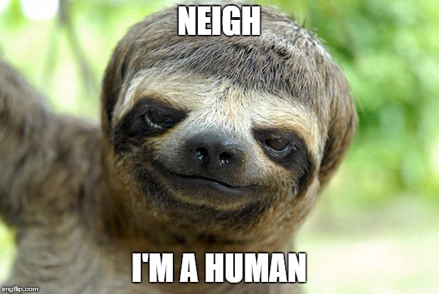 swag sloth with haircut | NEIGH; I'M A HUMAN | image tagged in swag sloth with haircut | made w/ Imgflip meme maker